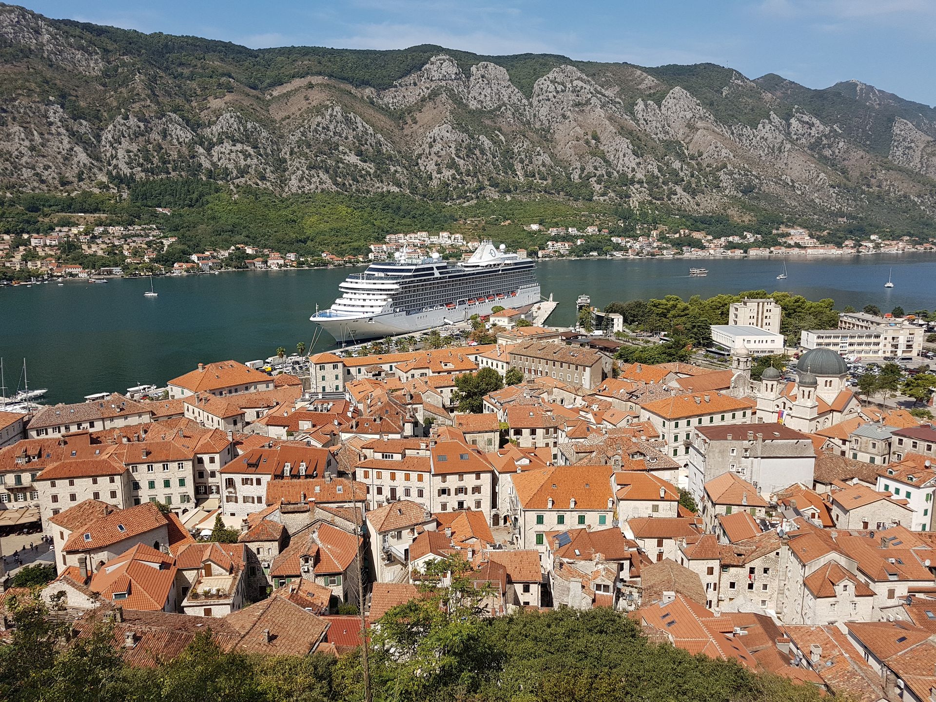 Kotor